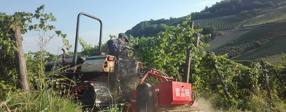 Azienda agricola Ca' del prete