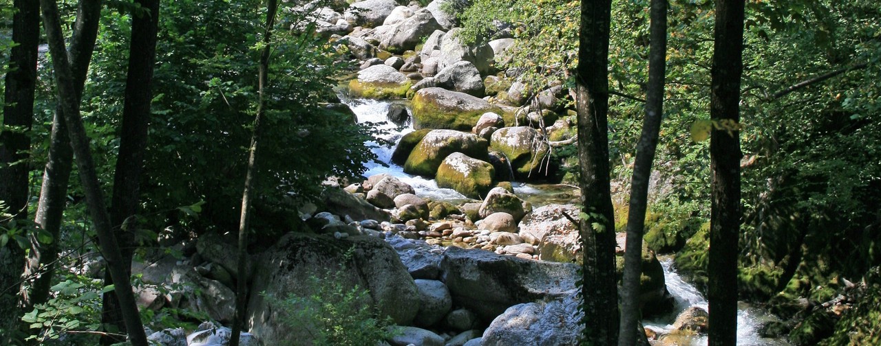 Torrente Pesio